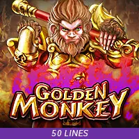 Persentase RTP untuk 5 Fortune Dragons oleh Spadegaming